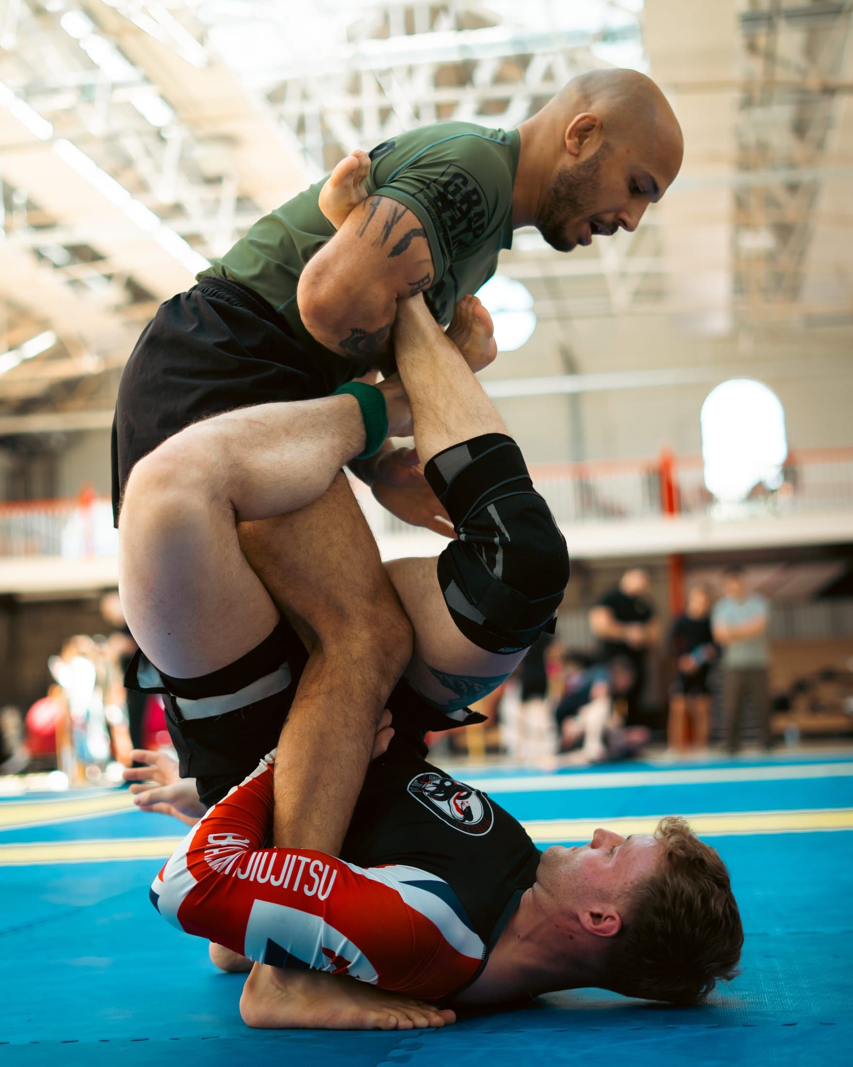 Bjj