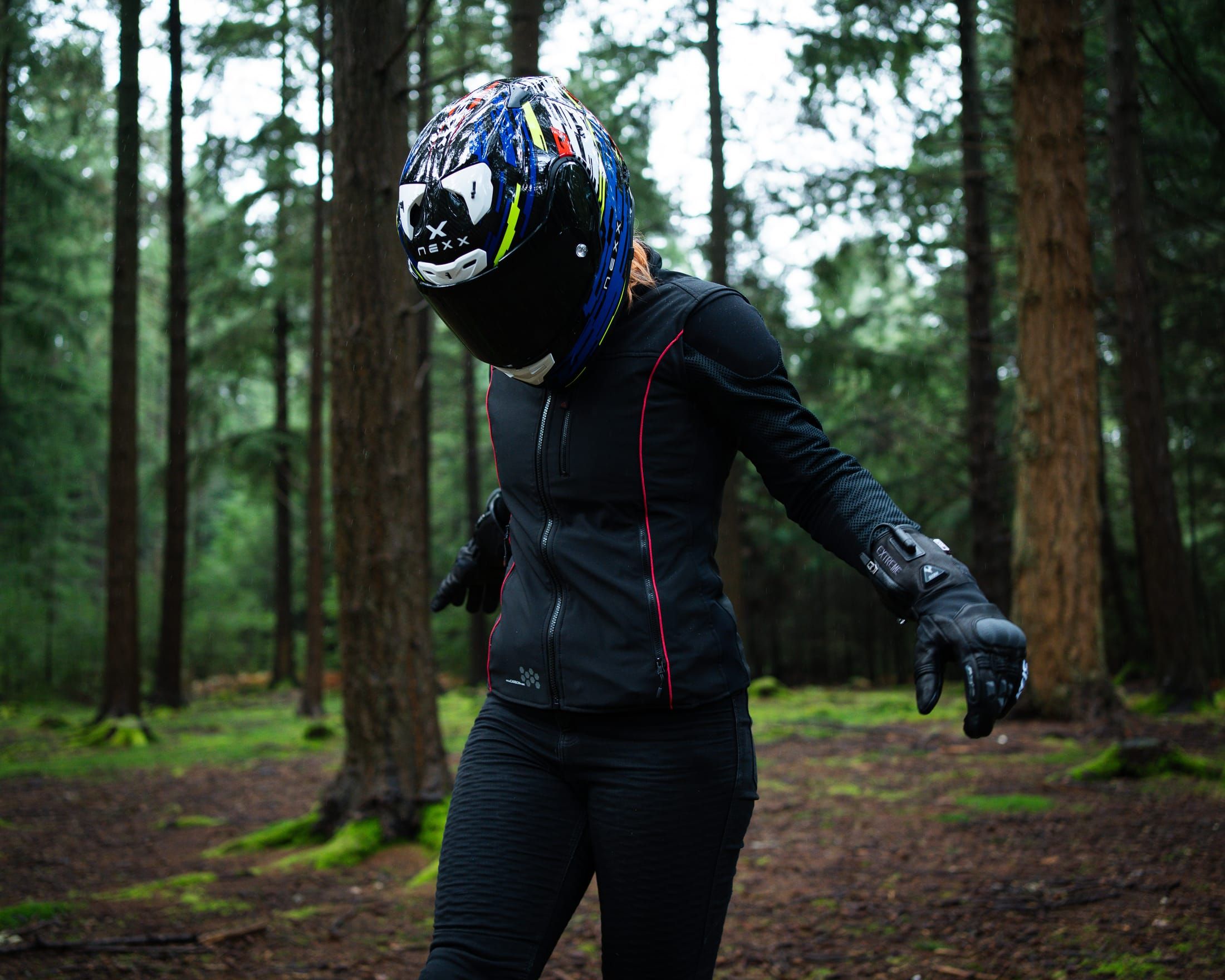 Keis New Forest
